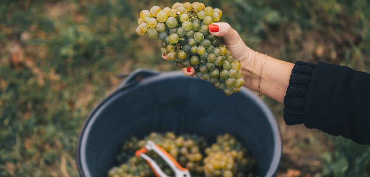 Foto: Henry Geovanne Recinos